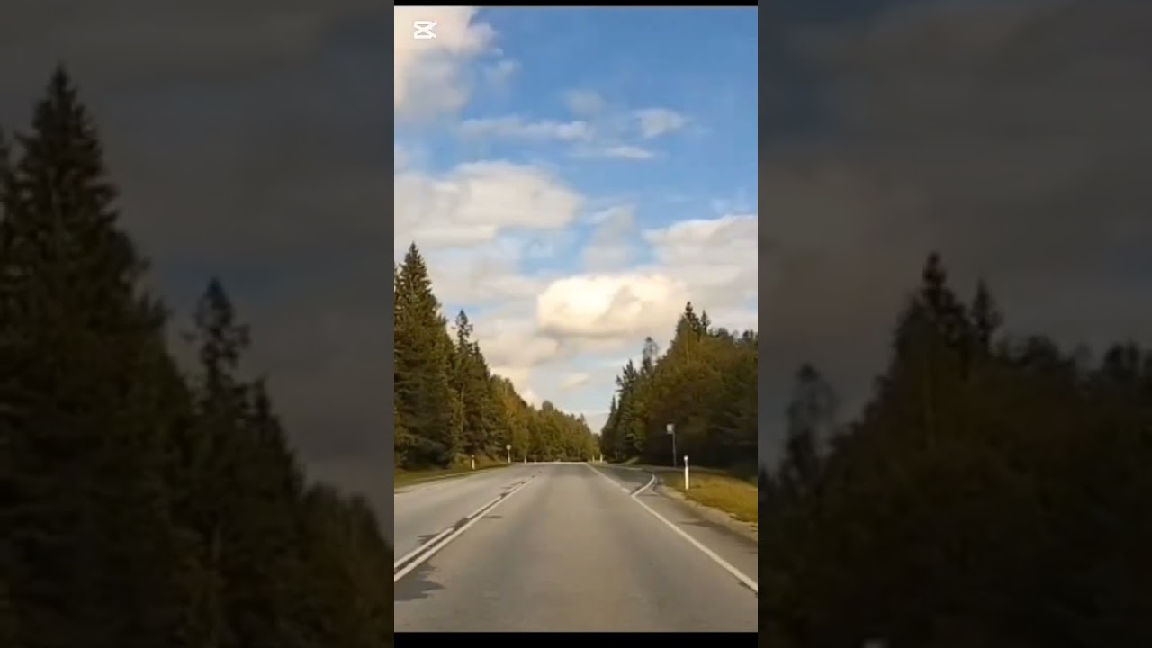 Scenic Drive in Estonia l September Nature Views