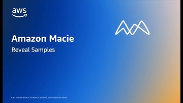 Retrieving and revealing sensitive data samples with Amazon Macie | Amazon Web Services
