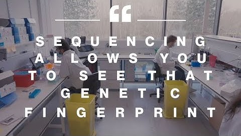 Sequencing to fight COVID-19