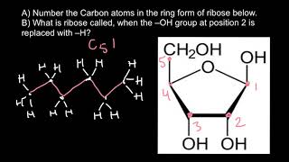 How to number carbon atoms