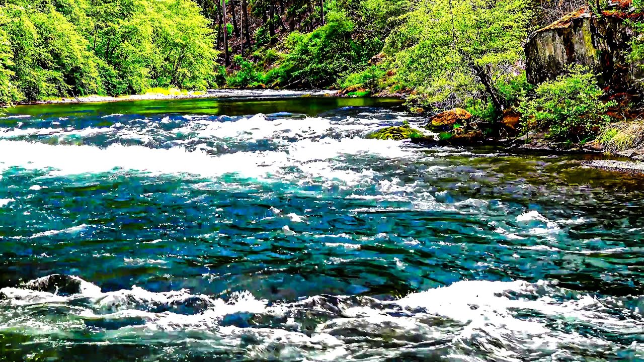 River Water Flow — Birds Singing & Peaceful Nature Ambience