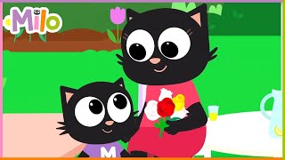 Dzień Kobiet Z Milo Milo