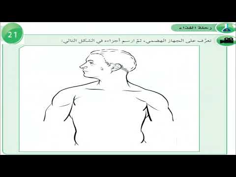 الصف التاسع العلوم الفصل الدراسي الثاني الدرس الاول  الجهاز الهضمي