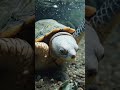 #искусство #живопись #выставка #культура #арт #творчество
