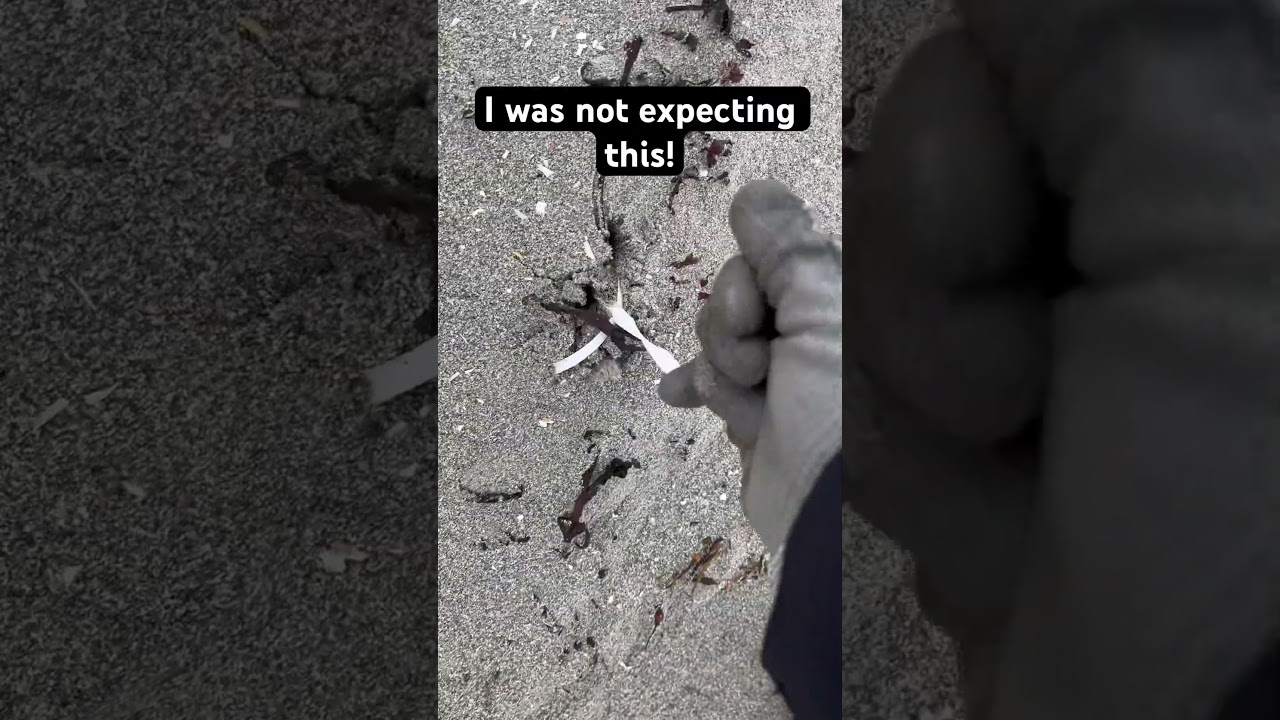 Beach plastic removal 