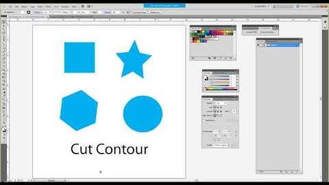 ONYX WebEx - Advanced Cut Server