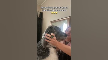 apparently im the one who didn’t understand the assignment🤷🏼‍♀️ #dog #fail #funny #newsong