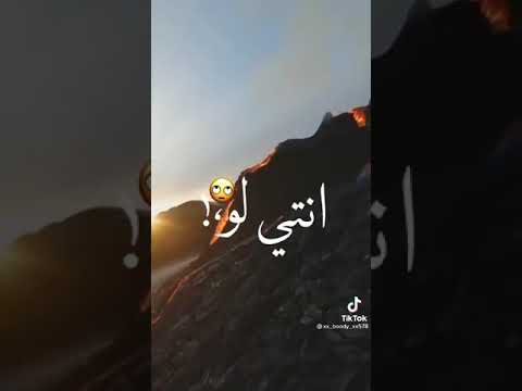 اغنية عود فرنسا مع جمال الأمريكان