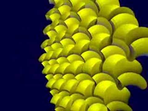 Hexagonal Spirallohedra
