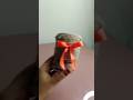 .വെറും 5 മിനിറ്റിൽ ഒരു സൂപ്പർ craft idea #reels #shorts #nocosttips #craft #homedrcore #homedecor