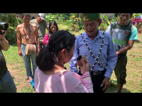 Kichwa shaman sharing mapacho tobacco (N. rustica) liquid medicine