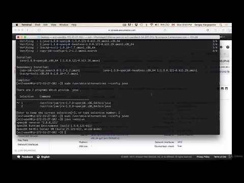 REST API with Java JAX-RS - 64 - Install Apache Tomcat on Amazon AWS EC2 Linux Instance
