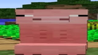 Minecraft in Ohio compilation 3:33💀