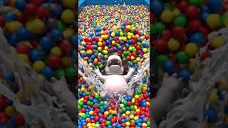 Baby hippo diving