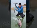 The water froze and the fish got stuck under the ice 😭#Catsoftiktok#CatLovers #cute #FunnyCats #fyp