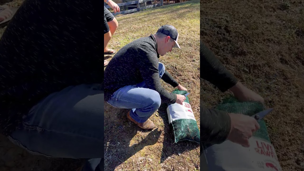 Stocking the Bass Pond with Live Crawfish!