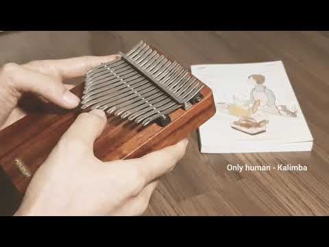 Only human K - Kalimba (one litre of tears ost)