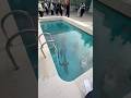 The Most Insane Pool in the World