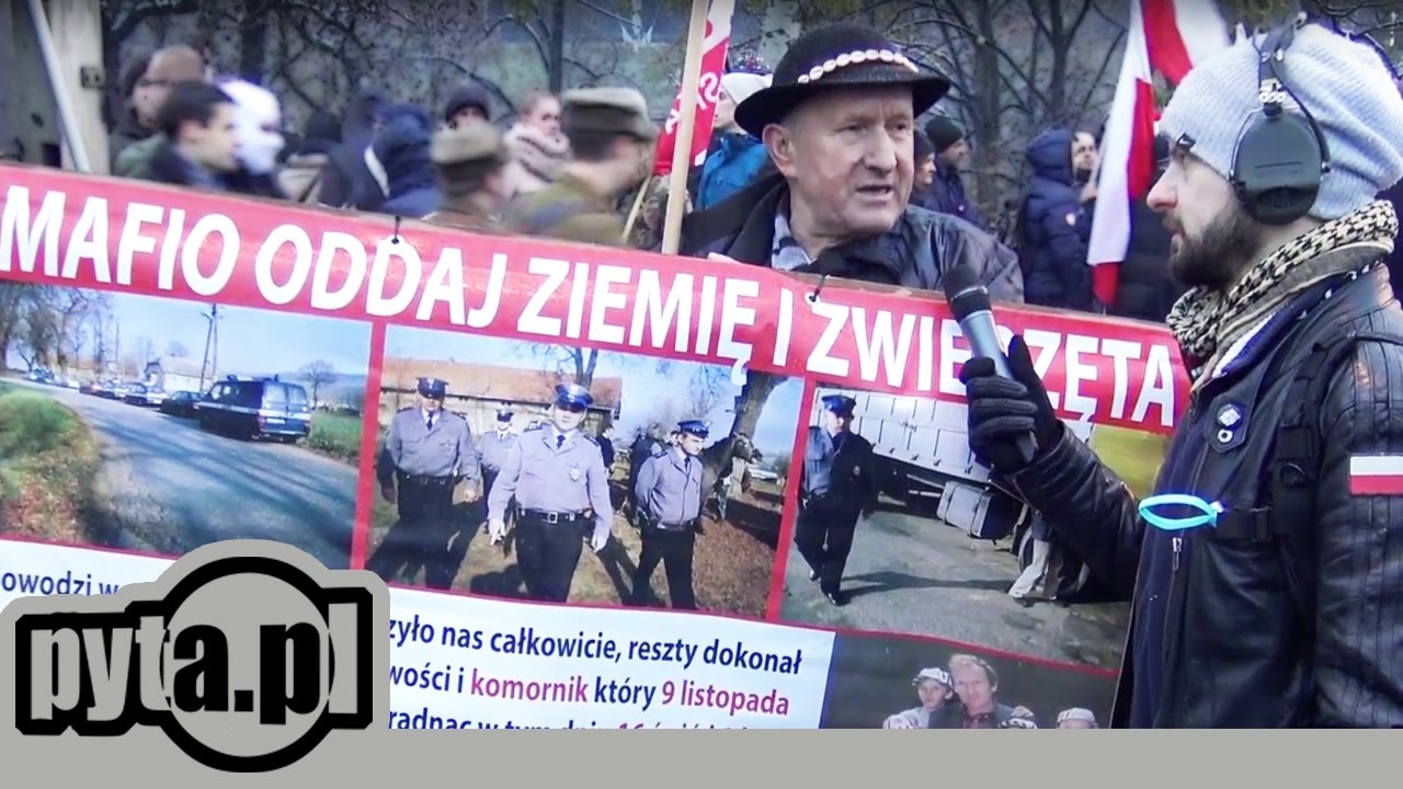 Pyta Niepodległości 2016 | Pyta.pl