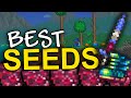 The BEST Terraria Seeds 1 4 4 9