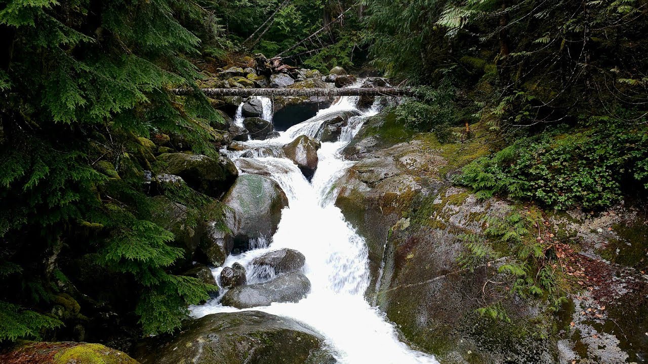 Calm River Meets Waterfall | Relaxing Nature Sounds for Sleep