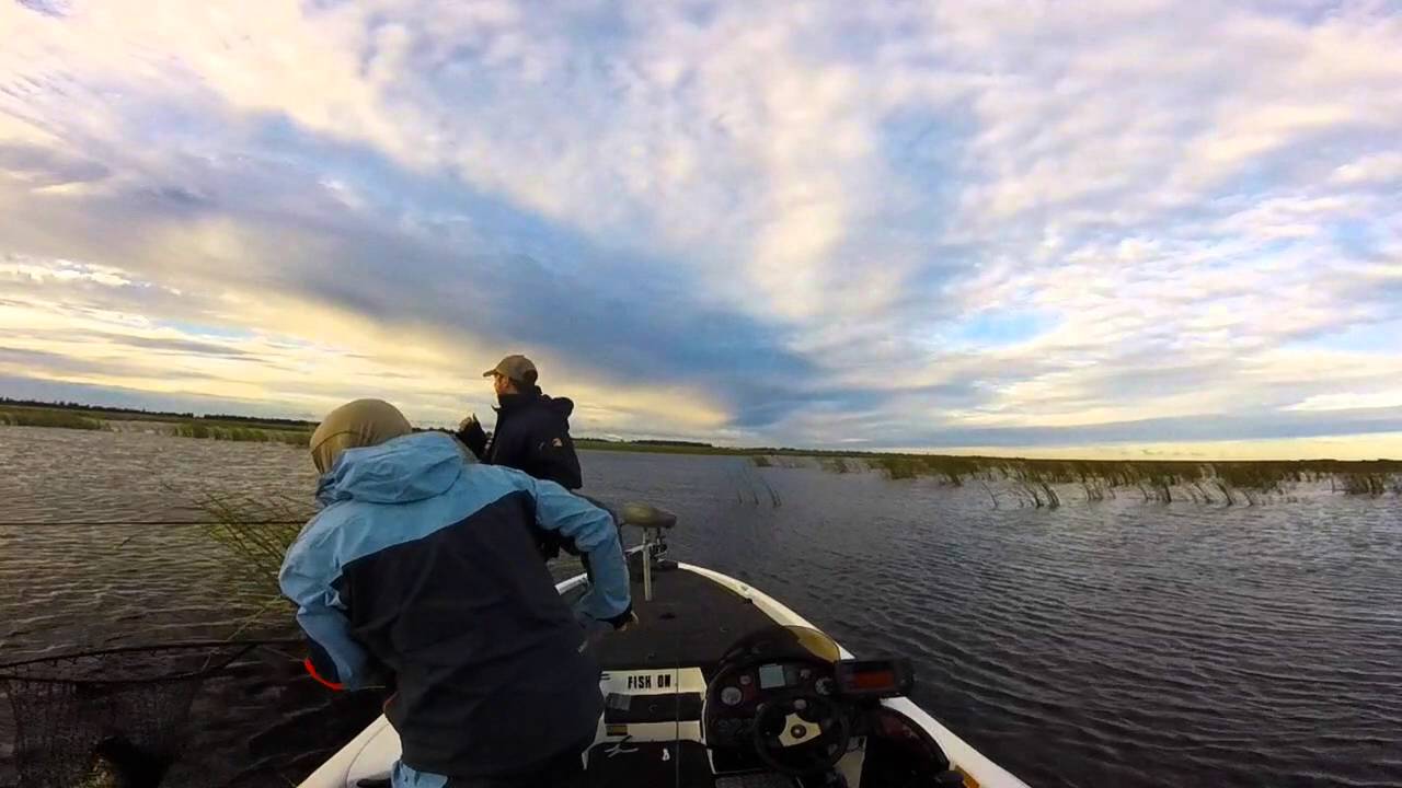 Florida Bass Fishing Jan. 2016 YouTube