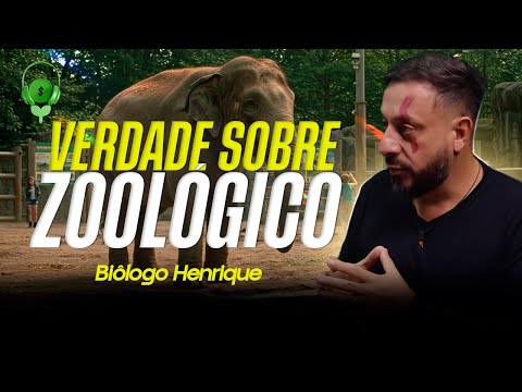 A VERDADE sobre a DEMONIZAÇÃO do ZOOLÓGICO - DESCUBRA o LADO BOM para os ANIMAIS!