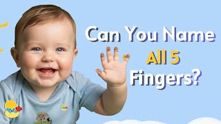 The Finger Family Song 🖐️ | Daddy where are you? | Nursery Rhymes