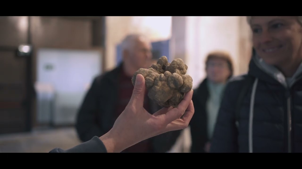 Comune di Ovada | Ovada Vino e Tartufi 2022 | Fancy Factory