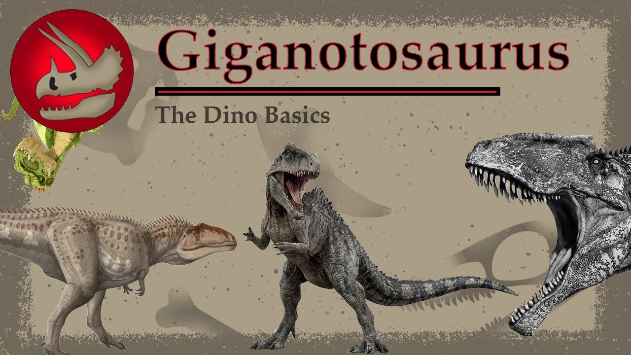 Гиганотозавр | Южный соперник тираннозавра | Основы динозавров