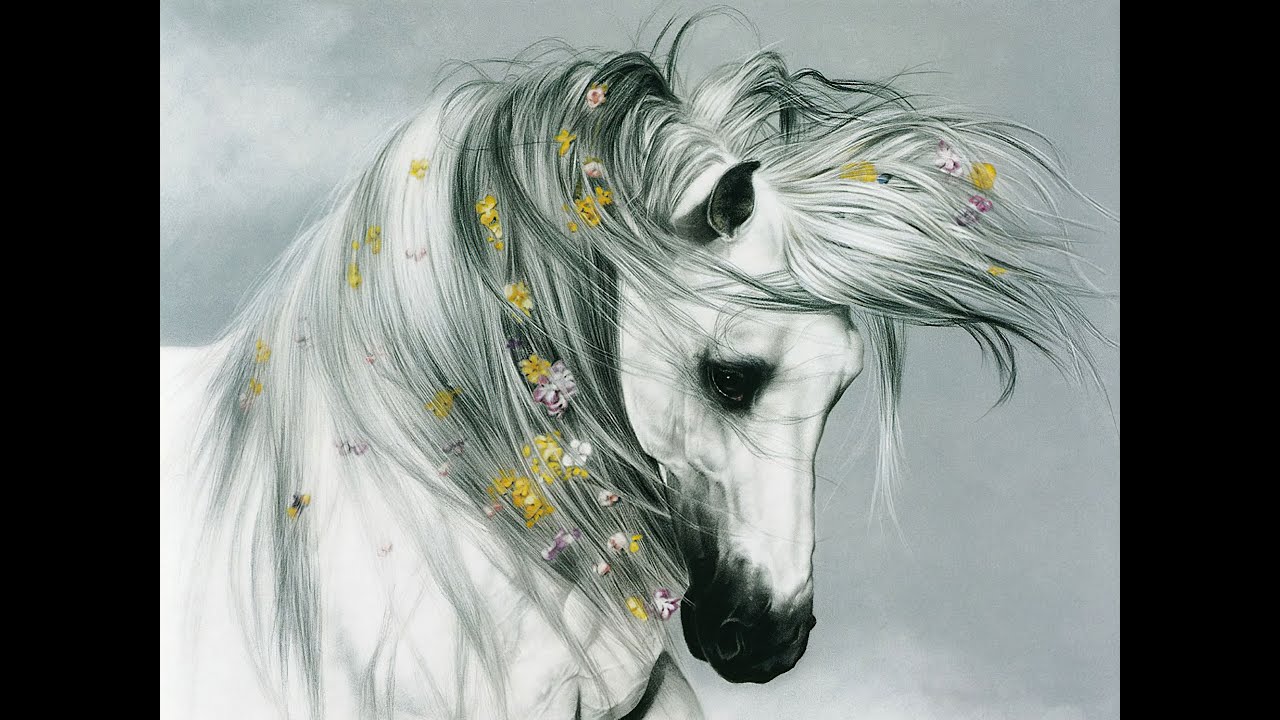 CZERWONE GITARY ~ Wschód Słońca W Stadninie Koni ღ