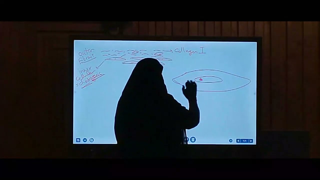 histo msk lec 2 |Dr Marwa|