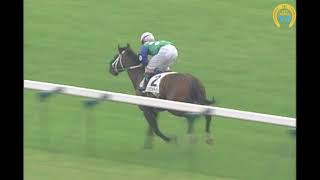 【スペシャルウィーク】武豊騎手の夢を叶えた名馬