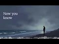 Now You Know AI Generated Music Lyrics Video Now You Know AI Generated Music Lyrics Video
