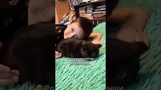 🥳Привет из ДОМА от Вилли🏡