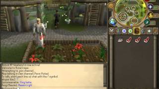 Runescape Druidic Ritual Quest Start To Finish In Under 5 Minutes!