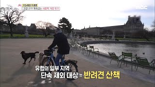 [INCIDENT] COVID19 Continued Social Distance Setting, 생방송 오늘 아침 20200323