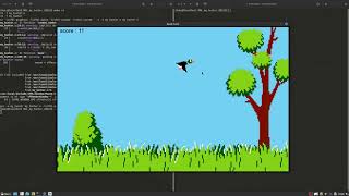Duck Hunt Leader Price With Csfml