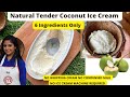 Natural tender coconut ice cream recipe  no whipping cream condensed milk no ice cream machine