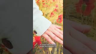 A Morning Prayer for Seeing God’s Faithfulness - Jesus Listens: Prayers for Every Season #prayers