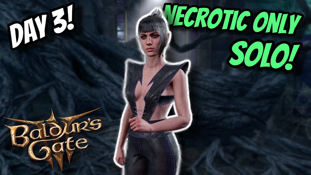 Lonewolf Necrotic Damage Only Day 3! (Honour Ruleset) - Baldur's Gate 3