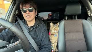 もし1つだけ願いが叶うなら