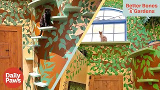 Zenbycats House Of Nekko Is The Ultimate Cat Sanctuary Better Bones & Gardens Daily Paws