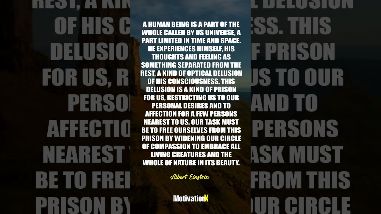 Unlocking Einstein's Vision of Unity for a Better World 🌍