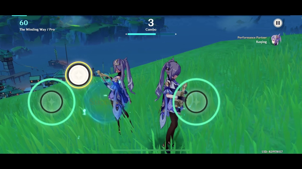 Perfect Play - The Winding Way Pro Difficulty