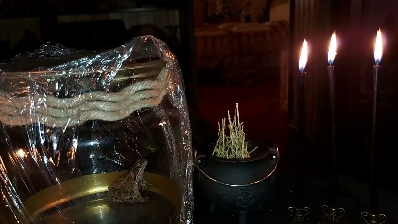 МЕСТЬ ЧЕРЕЗ ЖАБЬЮ МАТЕРЬ. ДЛЯ СМЕЛЫХ..REVENGE THROUGH THE TOAD'S MOTHER. FOR THE BRAVE.ВЕДЬМИНА ИЗБА