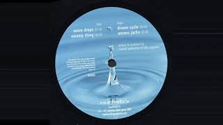 PPS Project -  Dream Cycle