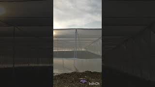 Download Lagu ShadeNet House MP3