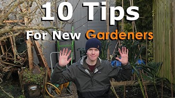 Top 10 Tips for New Vegetable Gardeners | How to Start Growing Your Own Food