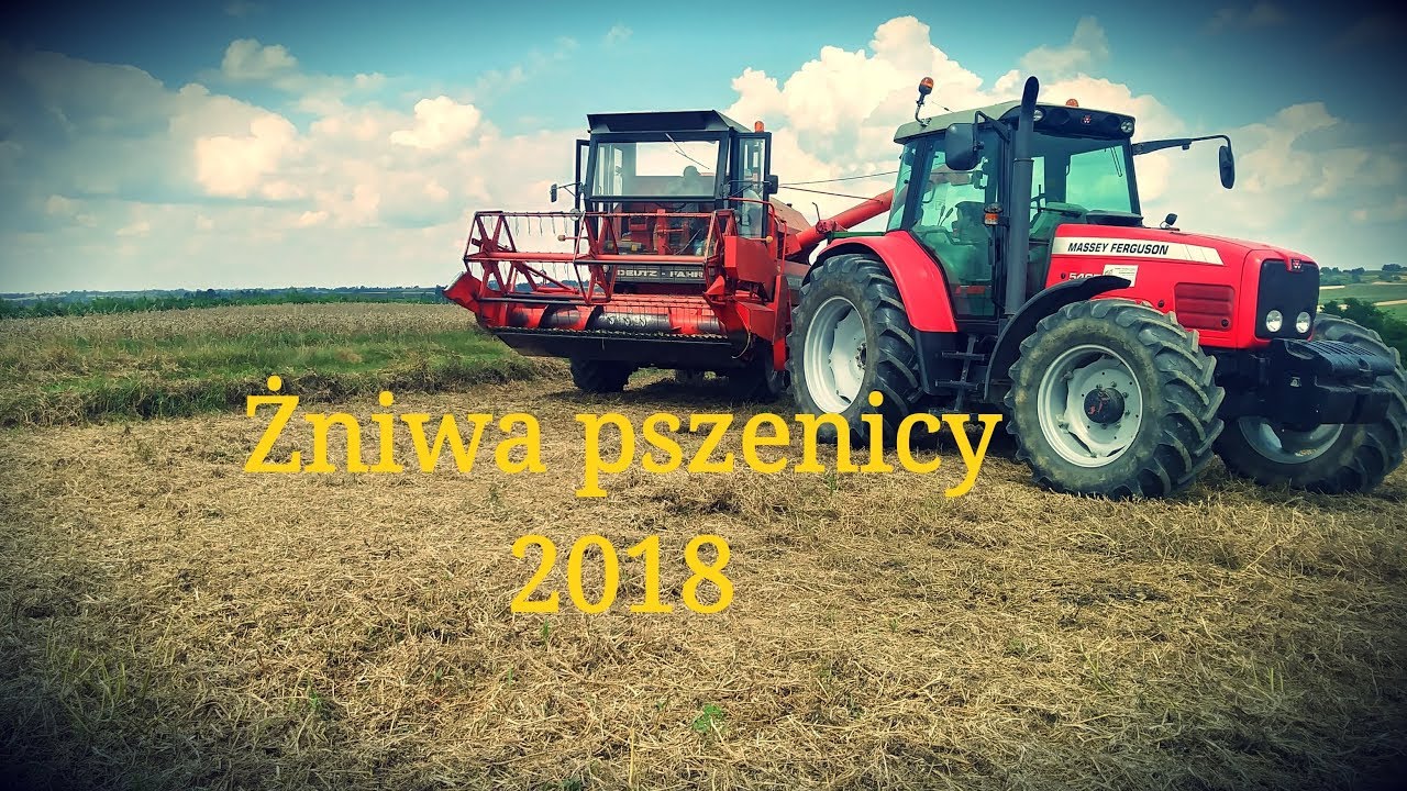 ▪HIT▪Najlepsze żniwa 2k18 !! Deutz-Fahr M980 & Massey Ferguson 5465  | GR KASZA + Bonus na końcu